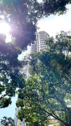 Bayshore Park (D16), Condominium #629982411